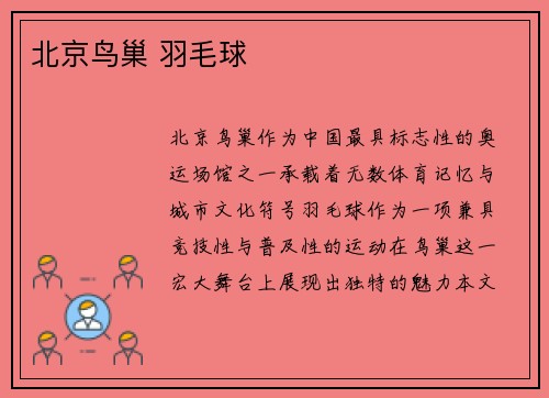 北京鸟巢 羽毛球