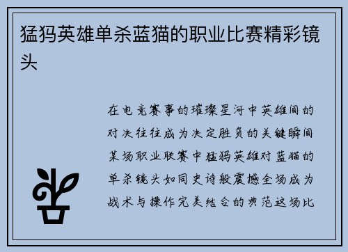 猛犸英雄单杀蓝猫的职业比赛精彩镜头