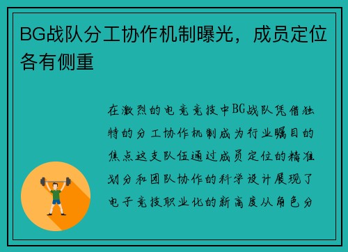 BG战队分工协作机制曝光，成员定位各有侧重